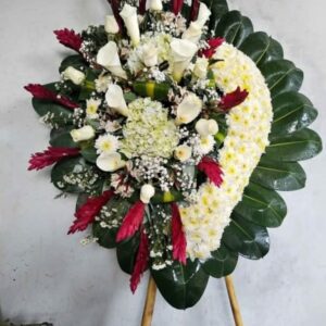 Coronas