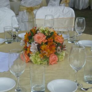 Para Bodas