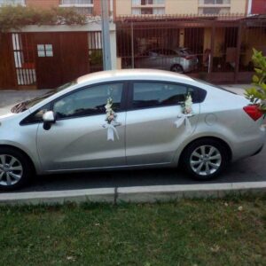 Decoracion para autos