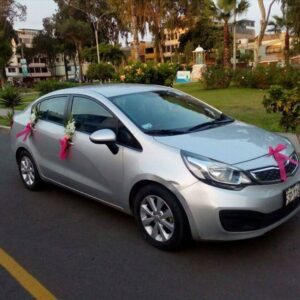 Decoracion para autos