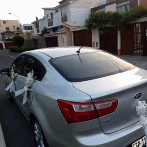Decoracion para autos